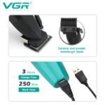 vgr v 003 2.jpg