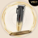 vgr v 003 3.jpg