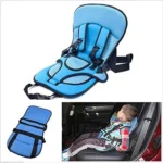 MultiFunctionCarCushion 1.webp