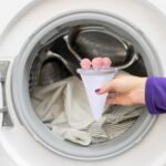 download 2024 08 06T022548.327.jpg