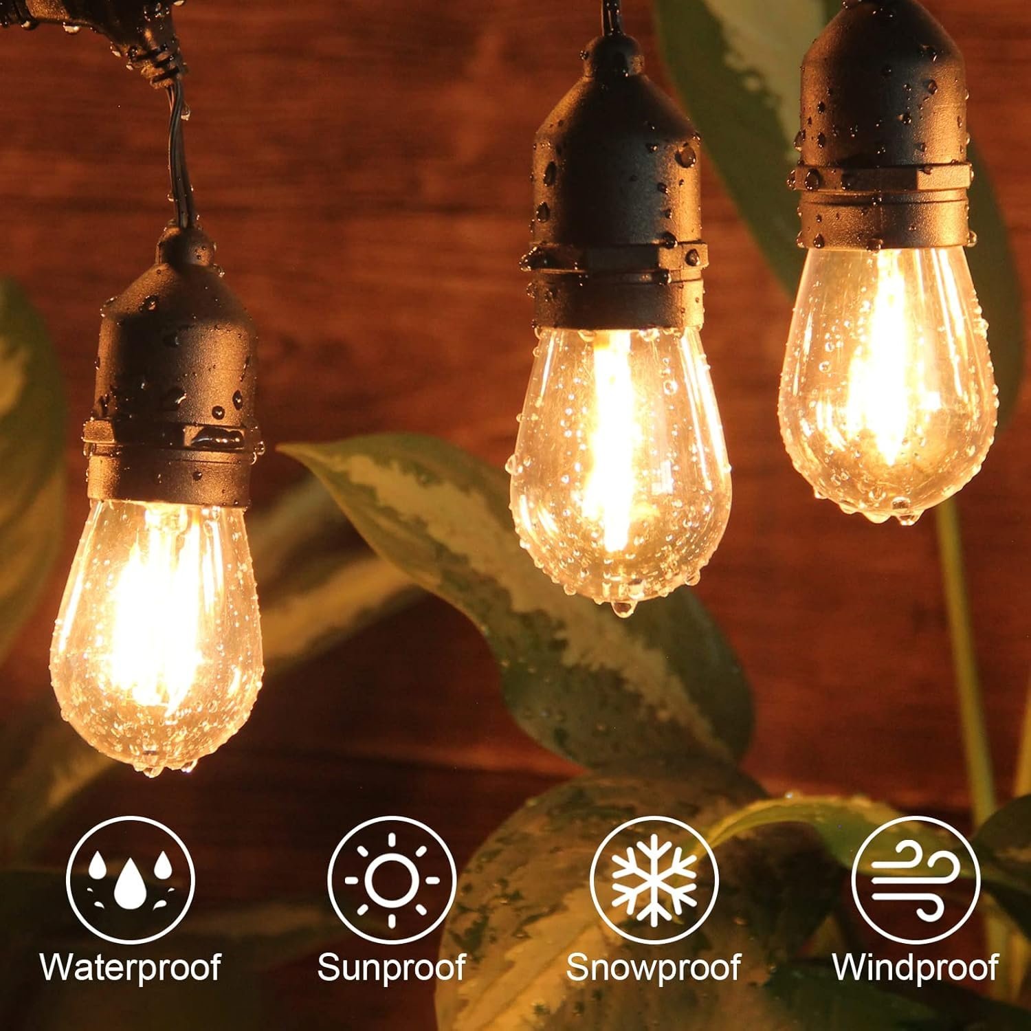 716uP9DSXPL. AC SL1500 .jpg 716uP9DSXPL. AC SL1500 .jpg